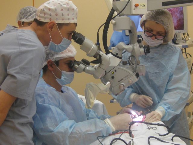 В НМИЦО ФМБА России поступил первый имплантант наружного уха от Фонда «Круг Добра»